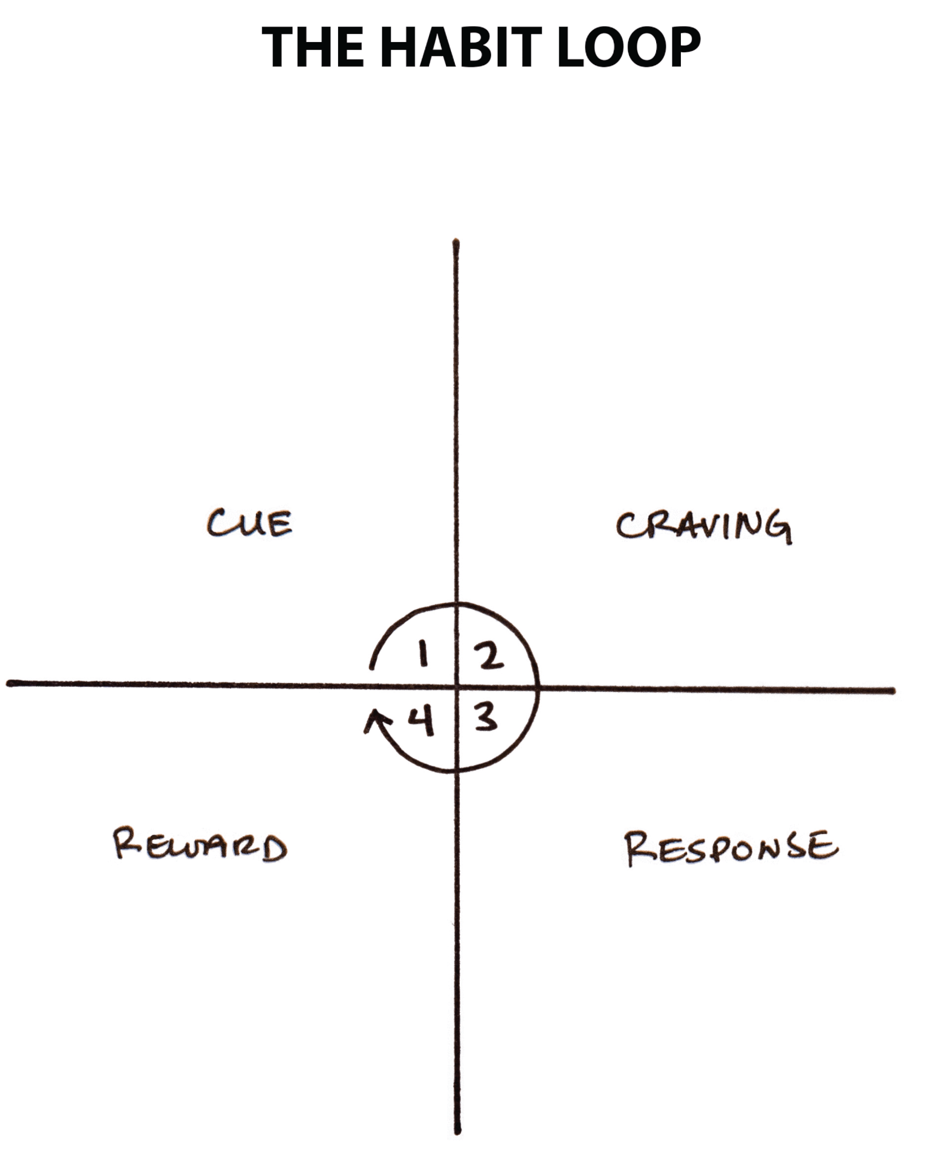 The Habit Loop: Cue, Craving, Response, Reward