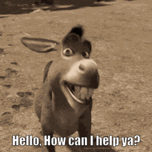 Hello, how can I help ya?