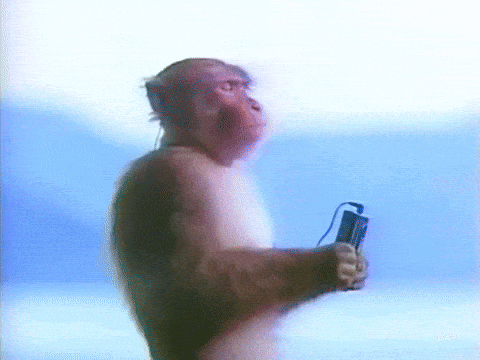 Monkey vibing to music